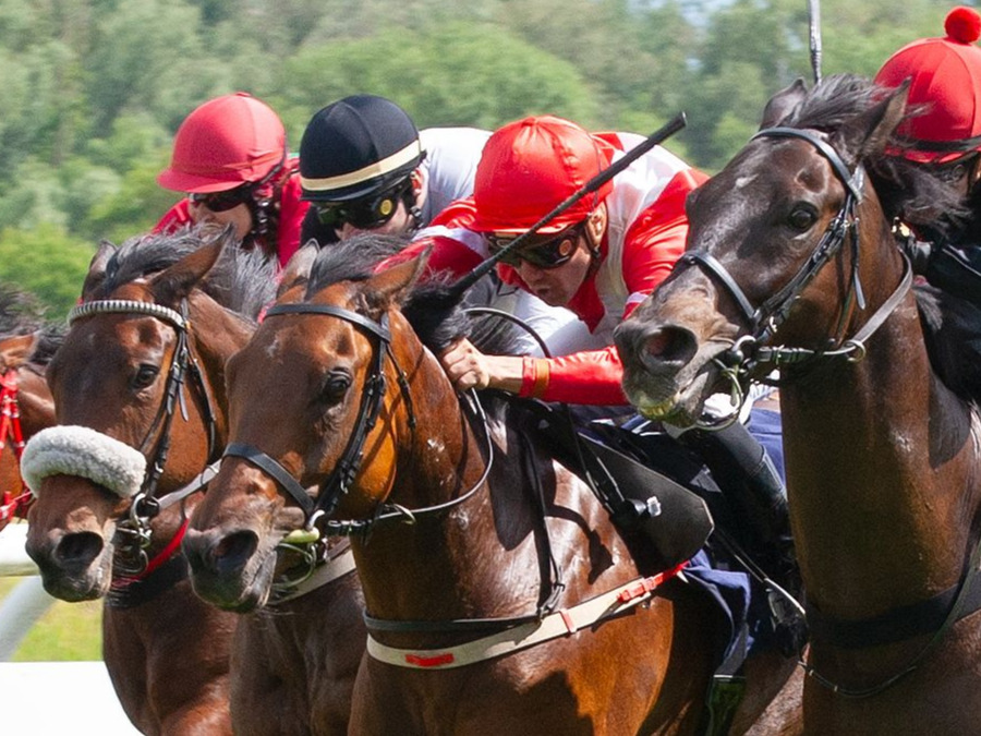 Kombiticket - Großer Frühlings-Familien-Renntag