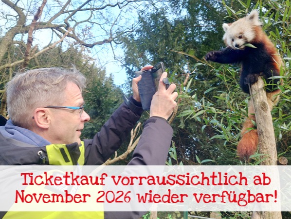 Gutschein für die exklusive Tierbegegnung - Rote Pandas (2 Personen)