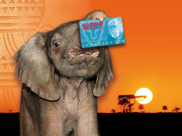 Jahreskarten-Gutschein