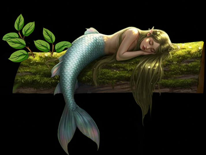 Halplus Magische Lichterwelten - Fantasy Island - Flex-Kombi-Ticket