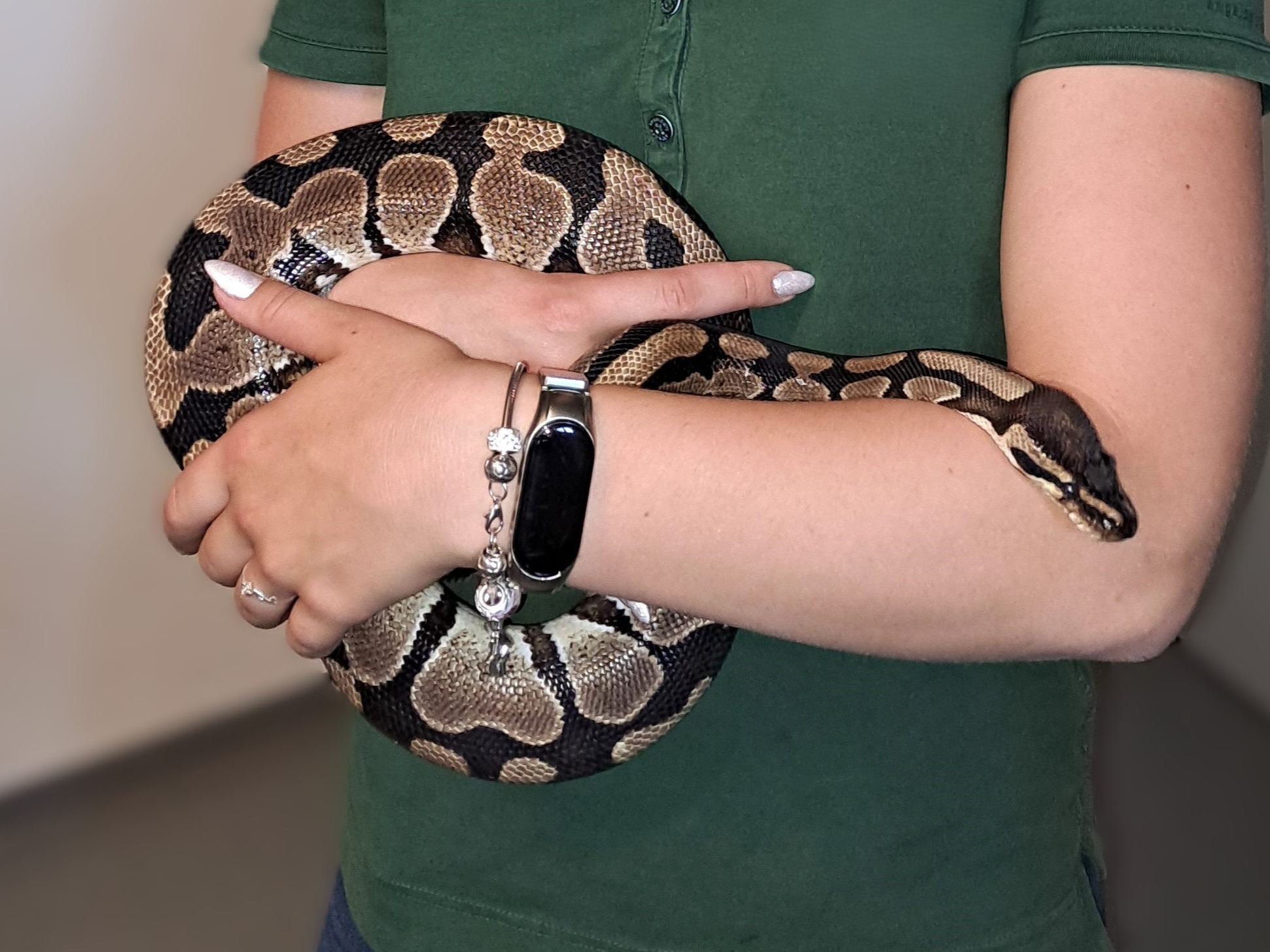 Gutschein - Lieblingstierbesuch Schlange (20 min)