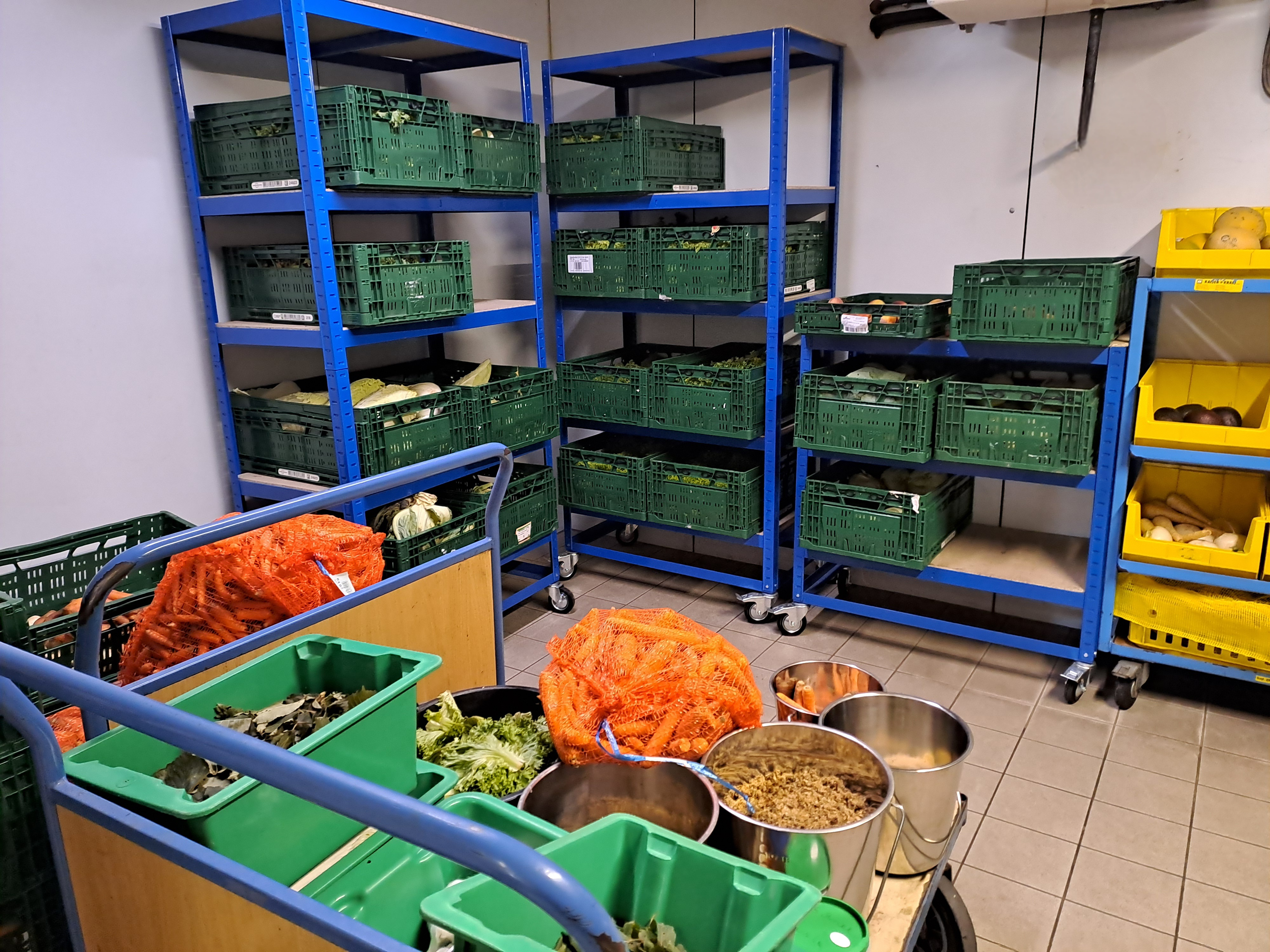 Gutschein - Tierpfleger auf Zeit – Futterküche (150 min)